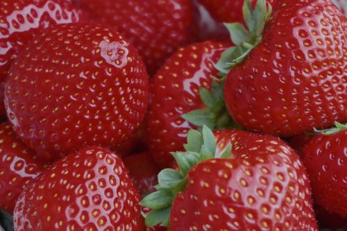 Free Vibrant close-up of fresh strawberries showcasing vivid red colors and textures. Stock Photo