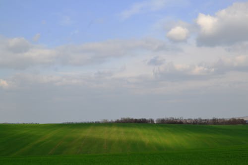 Immagine gratuita di aereo, agricoltura, azienda agricola