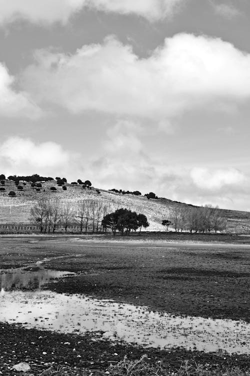 Grayscale Photo of the Trees in the Mountains Under Cloudy Sky