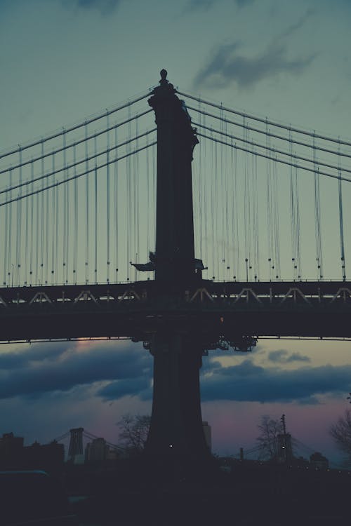 Foto stok gratis Amerika, bayangan hitam, jembatan gantung