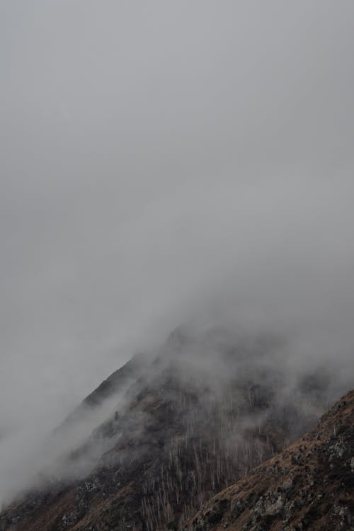 Free Thick Fog Covering the Mountain Stock Photo