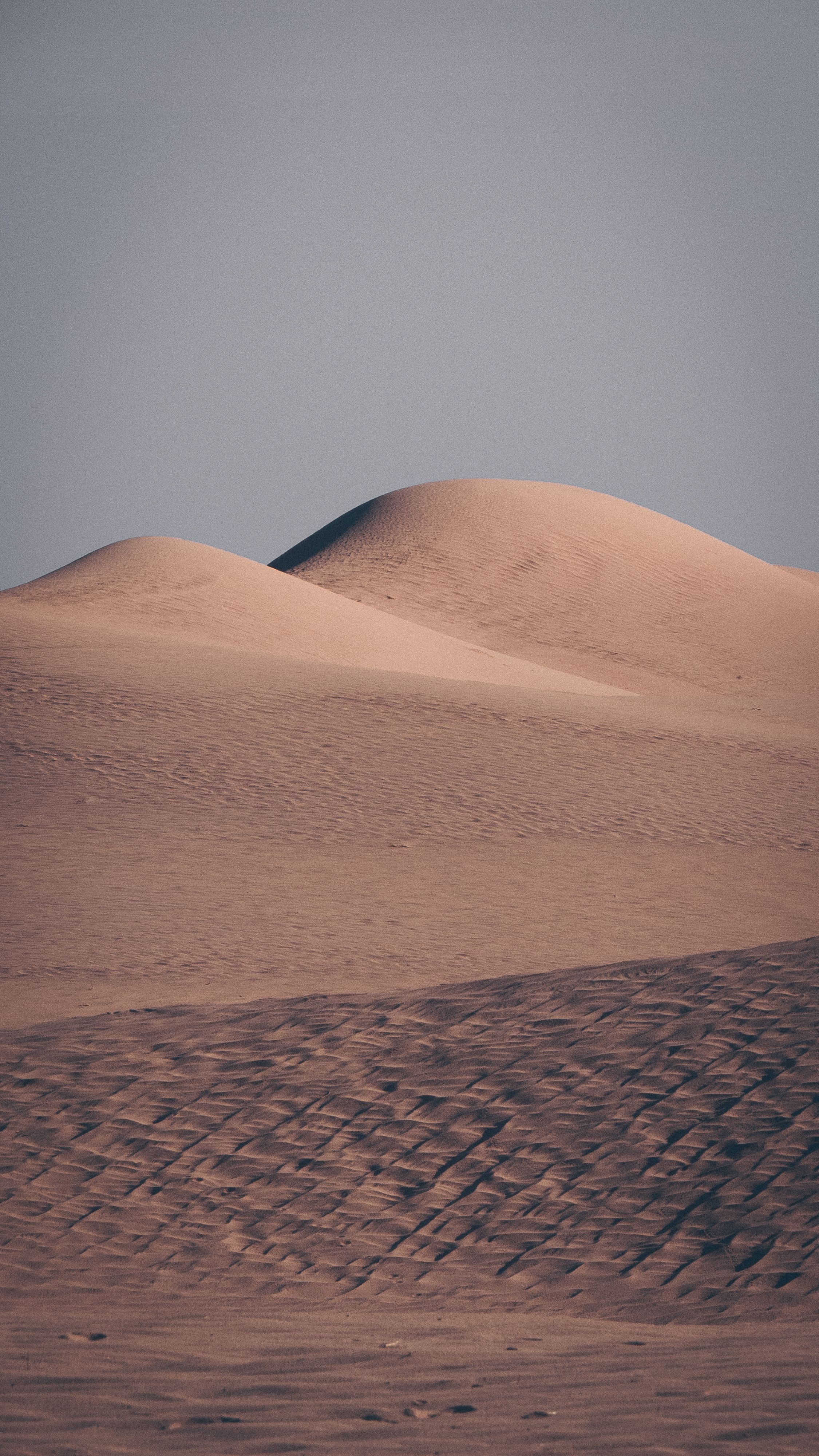 Photo by Mostafa Ft.shots on pexels