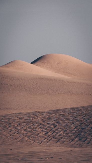 Photo by Mostafa Ft.shots on pexels