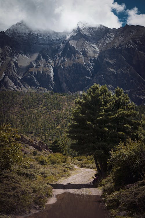 Бесплатное стоковое фото с бездорожье, вертикальный выстрел, вид на горы