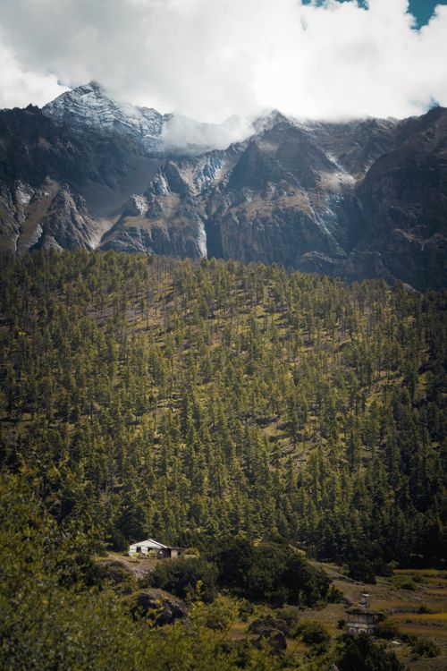 Free Majestic view of mountains and lush forest in Karnali Province, Nepal, under a bright sky. Stock Photo