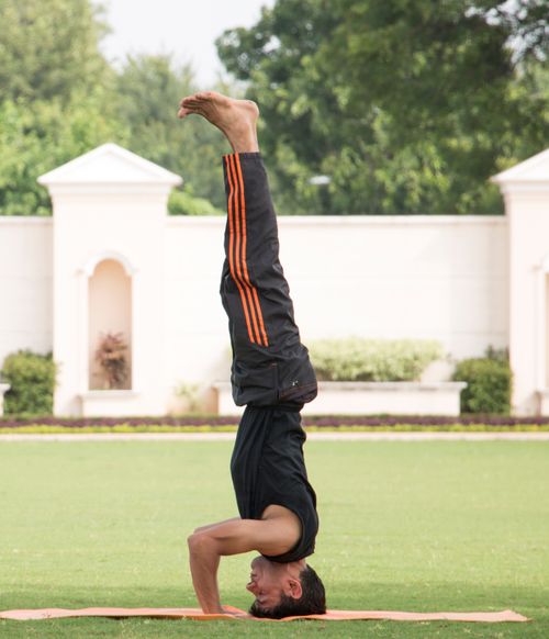 Free Athletic man practicing a headstand on grass in a sunny park, showcasing balance and strength. Stock Photo