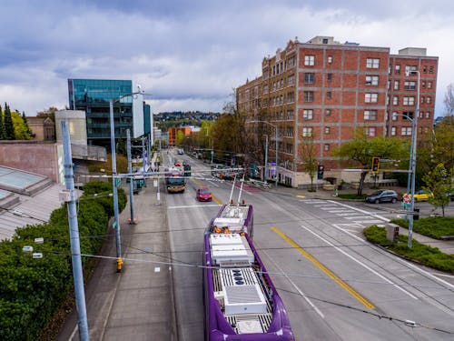 Fotos de stock gratuitas de autobuses, calle, carretera