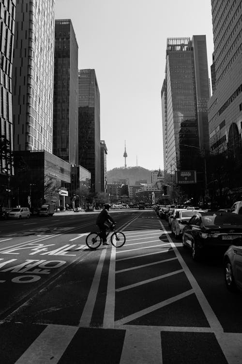 Free Grayscale Photo of Man Riding Bicycle on Road Stock Photo
