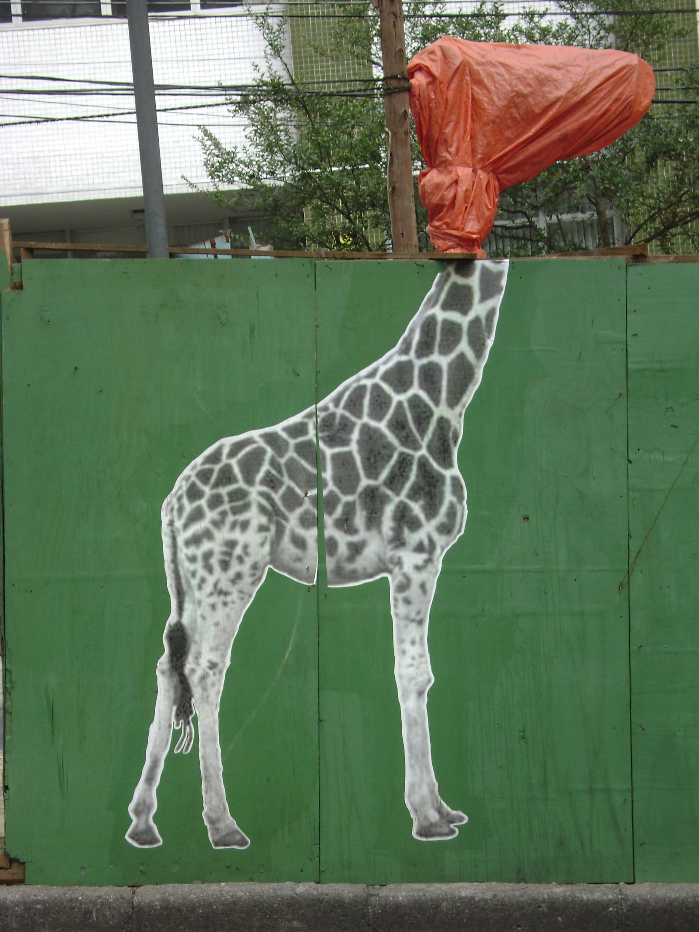 Free stock photo of Crane giraffe