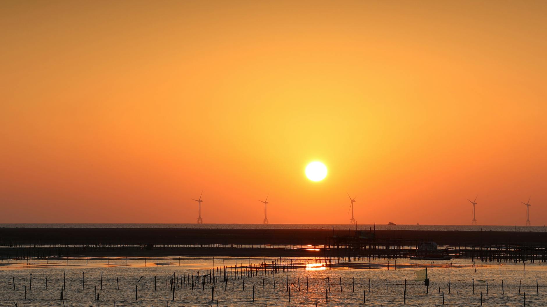 A beautiful ocean sunset with wind turbines against an orange sky.