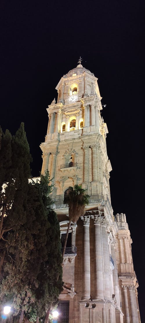 Catedral nocturna