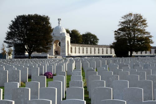 Rows of Tombstones at a Graveyard