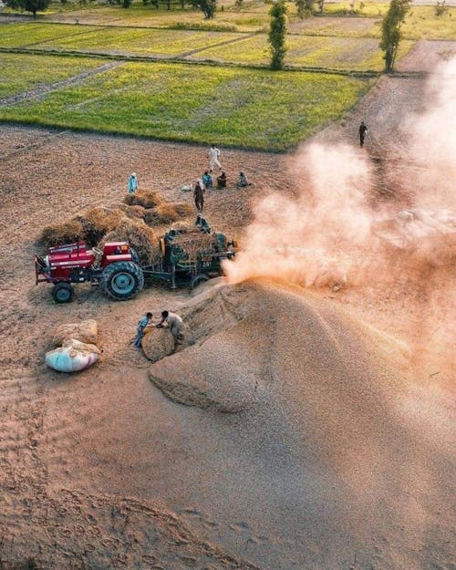 Základová fotografie zdarma na téma farma, farmáři, hřiště