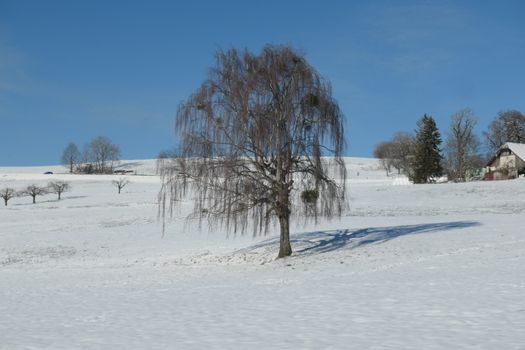 A serene winter scene showcasing a snow-covered landscape in Rüeggisberg, Switzerland.