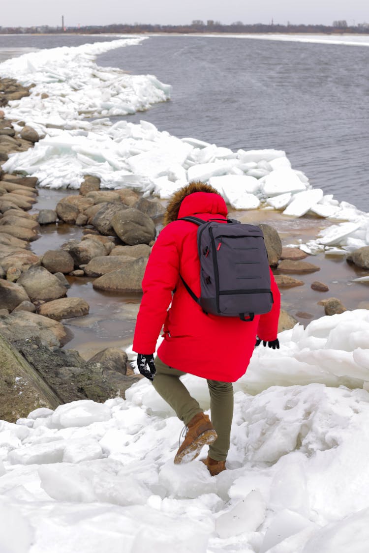 Back View Of A Person In Red Jacket Walking On Snow