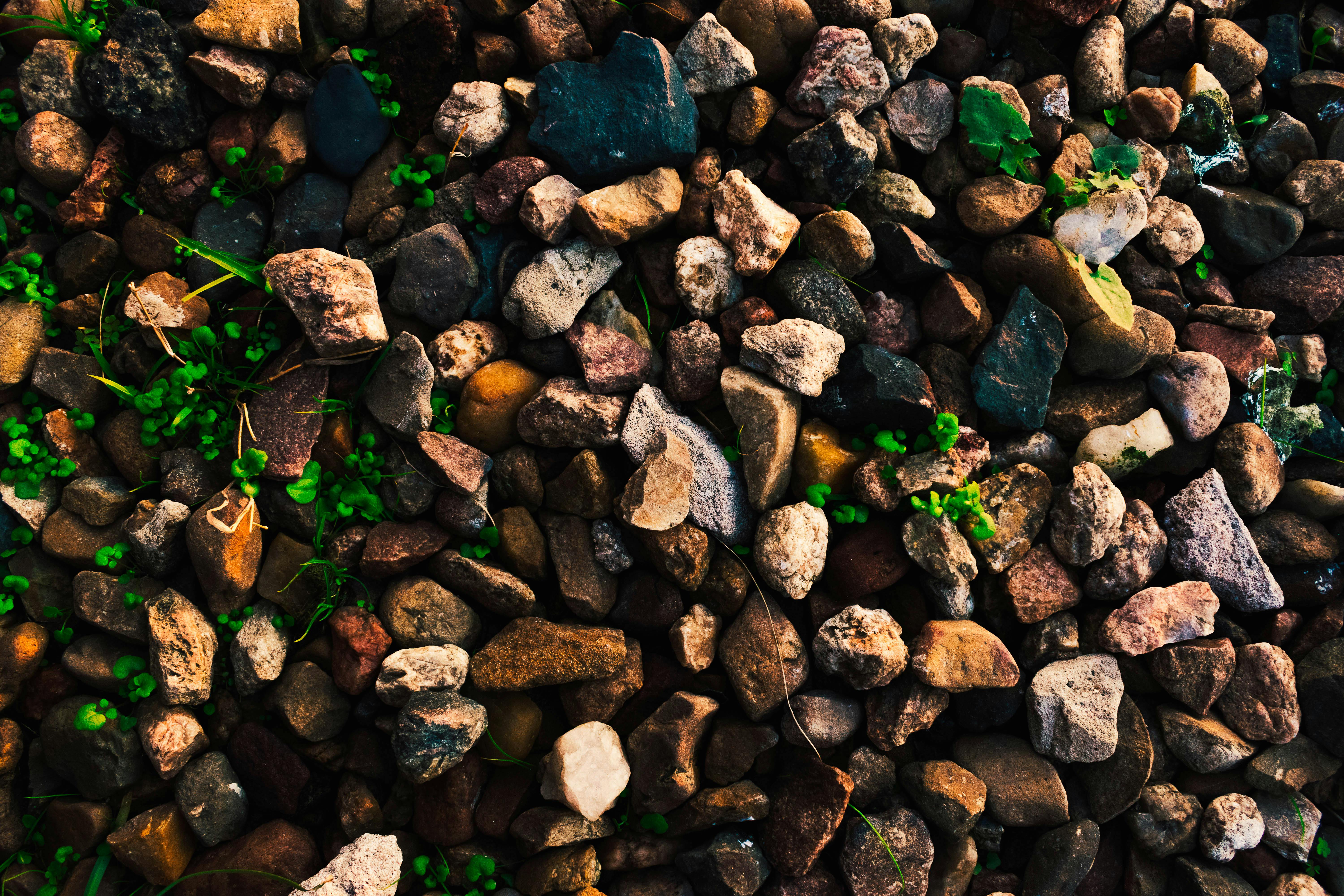 Free Stock Photo Of Green Minimal Minimalism