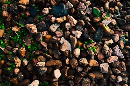 Бесплатное стоковое фото с зеленый, камень, камни