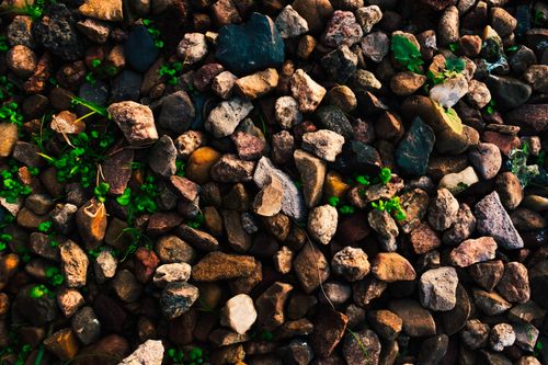 Free stock photo of green, minimal, minimalism Stock Photo