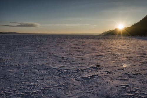 Gratis lagerfoto af gylden time, morgengry, sand