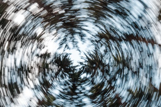 Artistic image of forest trees with circular motion blur creating an abstract effect.