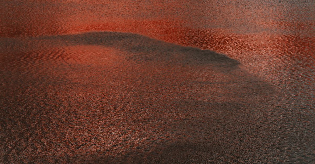 Hypnose et IFS : dialoguer avec vos parties blessées