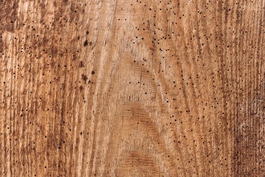 pilot hole sizes