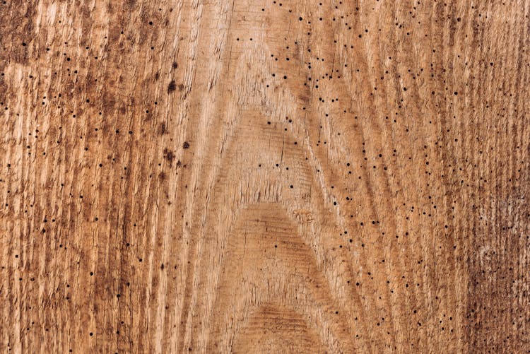 Close-up Of Wood Texture