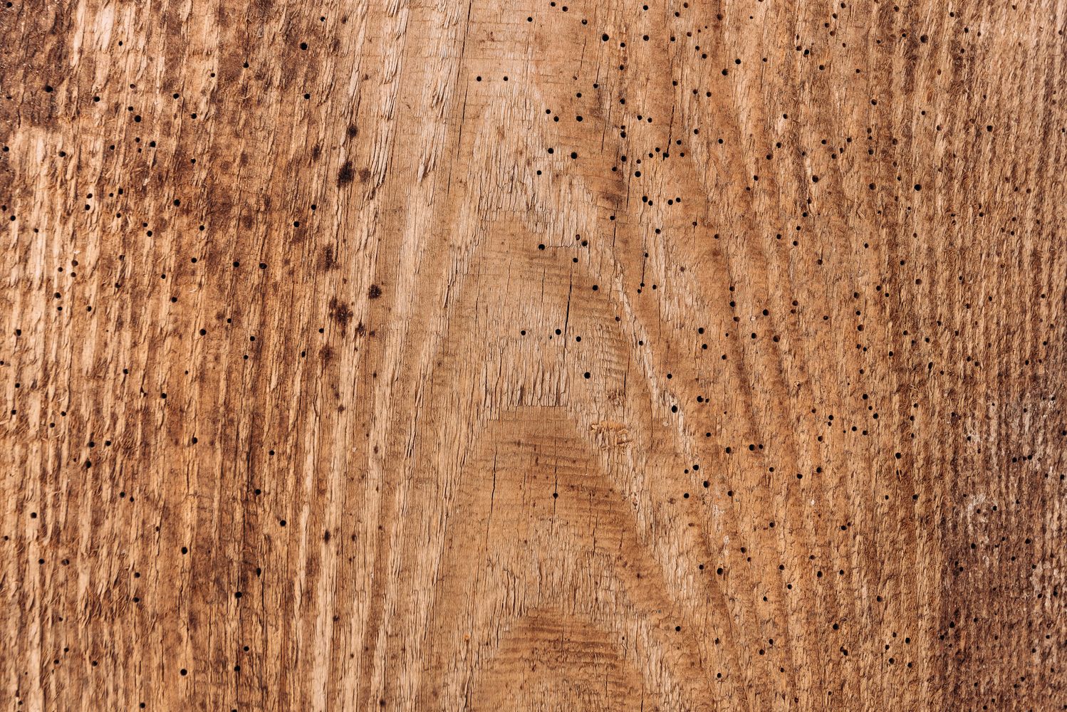 Wood Defects Photos, Download The BEST Free Wood Defects Stock Photos ...