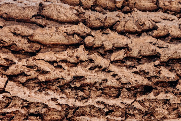 Close-up Of A Rough Surface Of Dry Earth Structure