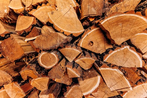 Gratis lagerfoto af bark, brænde, brændestabel