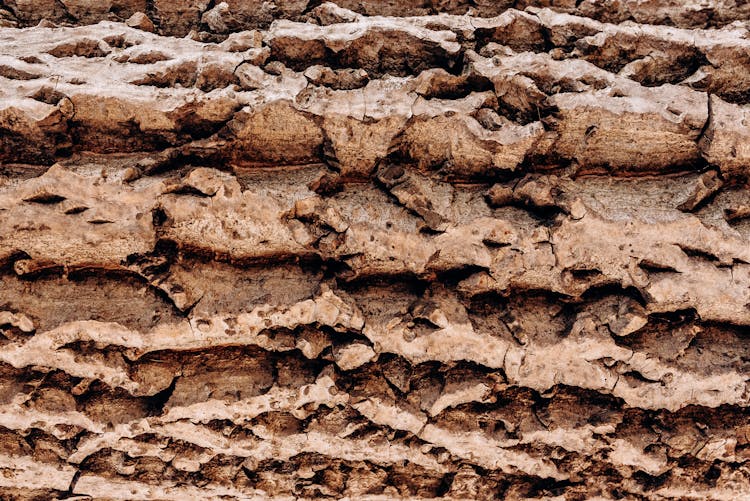 Close Up Shot Of Tire Tracks On A Muddy Soil