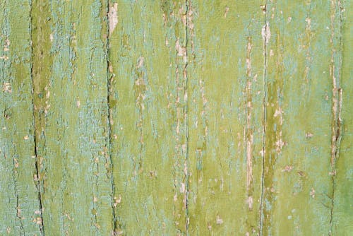 Paint Peel Off on Wooden Wall