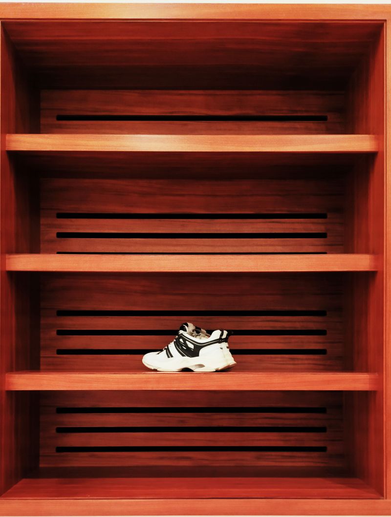 Organize Shoes in a Closet With Adjustable Shelving in modern organized home