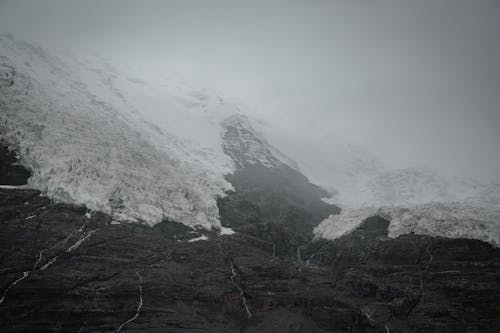 优美的风景, 單色, 大雪覆盖 的 免费素材图片