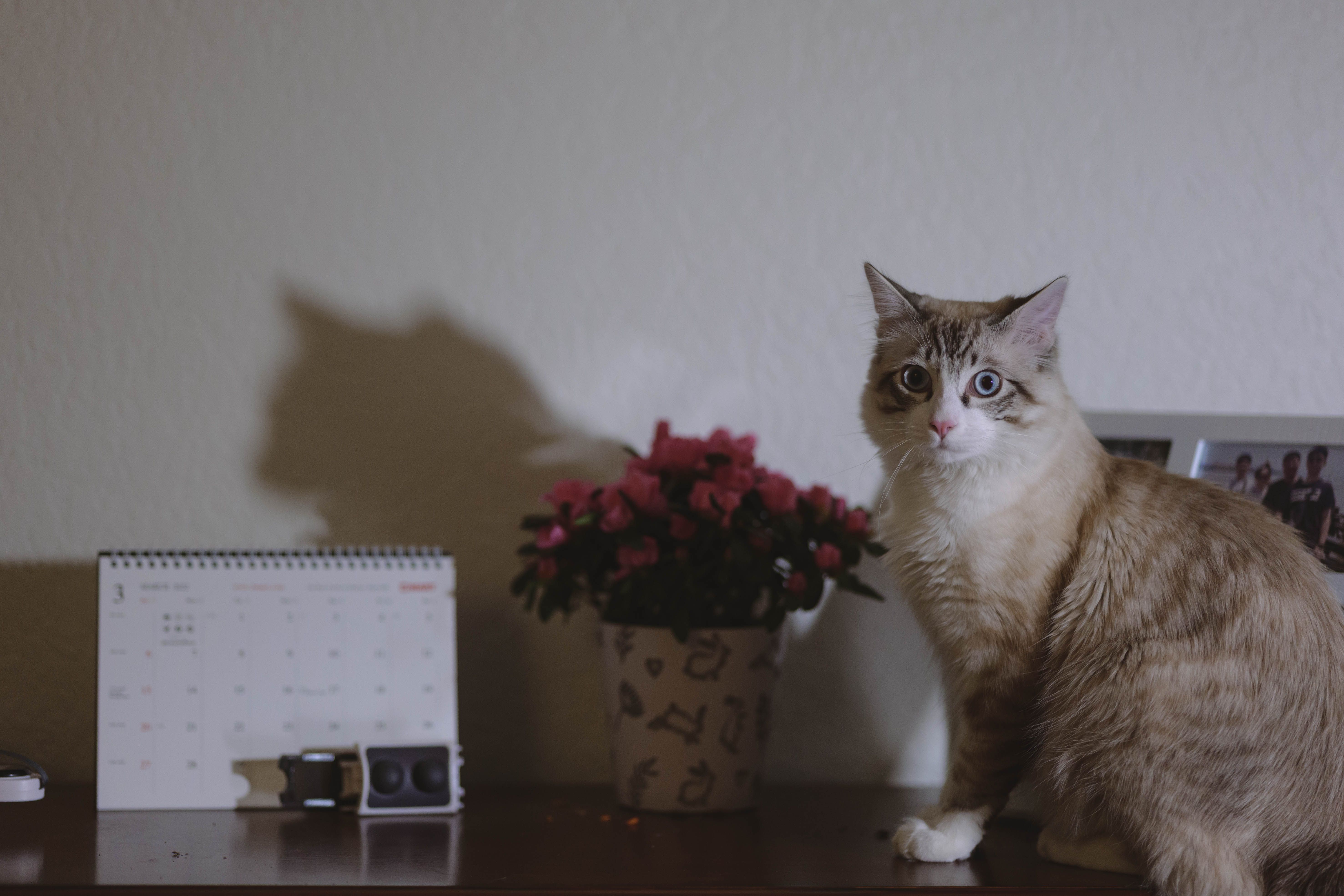 calendar natural light lifestyle photo 2
