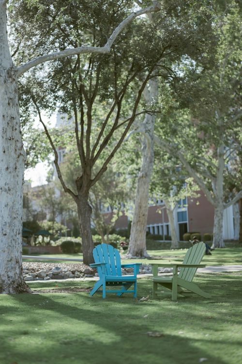 Free Peaceful garden scene with blue and green chairs under tall trees, perfect for relaxation. Stock Photo