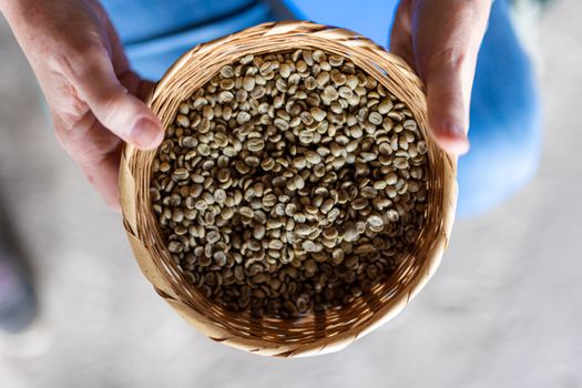 A close-up of hands holding a basket filled with uncooked coffee beans, highlighting agriculture.
