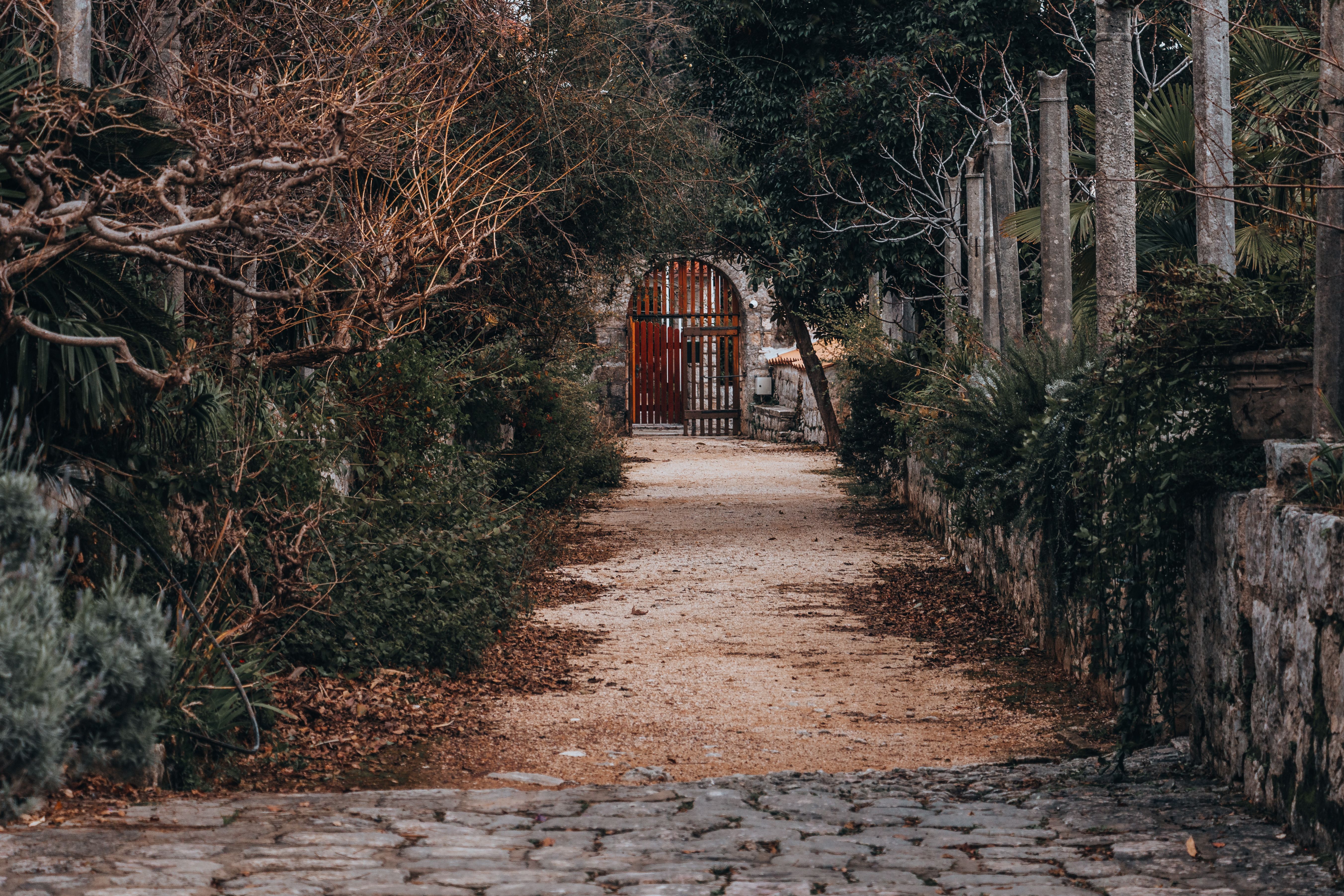 Landscape design with stone pathways