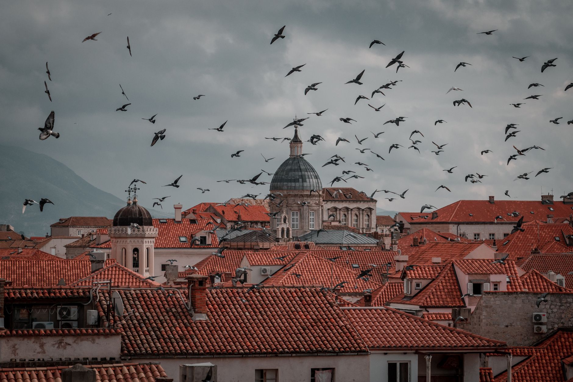 15 cheap things to do dubrovnik croatia 10 A picturesque scene of Dubrovnik's iconic terracotta rooftops with birds flying overhead.
