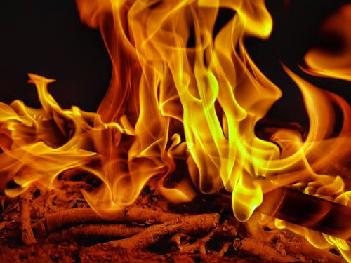 Close-up of Fire Flames