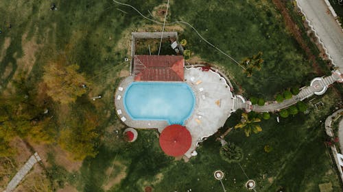Free Aerial View of Swimming Pool Surrounded by Trees Stock Photo
