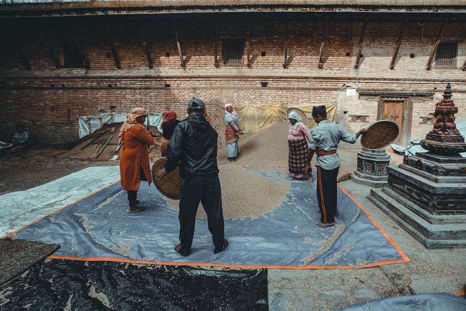 half|ancient grain sieving