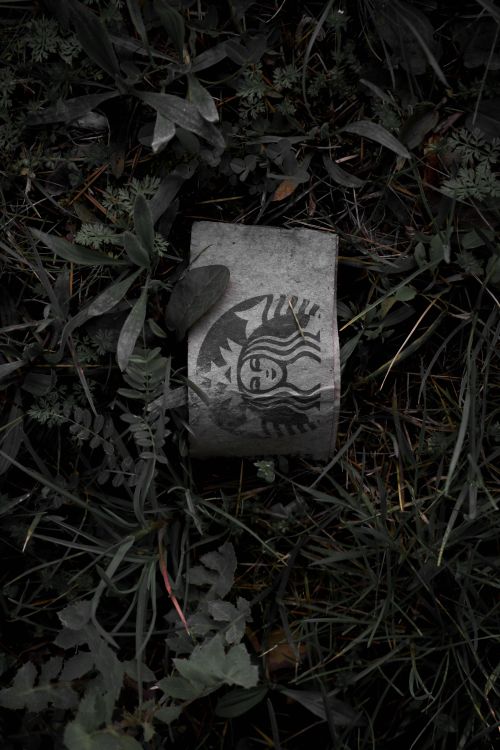 Free A Starbucks cup sleeve lies on the green grass, blending with nature. Stock Photo