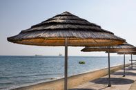 Tranquil beach setting with straw umbrellas along the Mediterranean coastline in Cyprus.