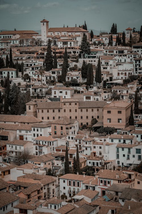 Immagine gratuita di alberi, città, cittadina