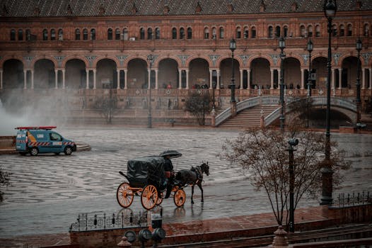 婴儿指套牙刷和小头软毛牙刷及可吞咽牙膏