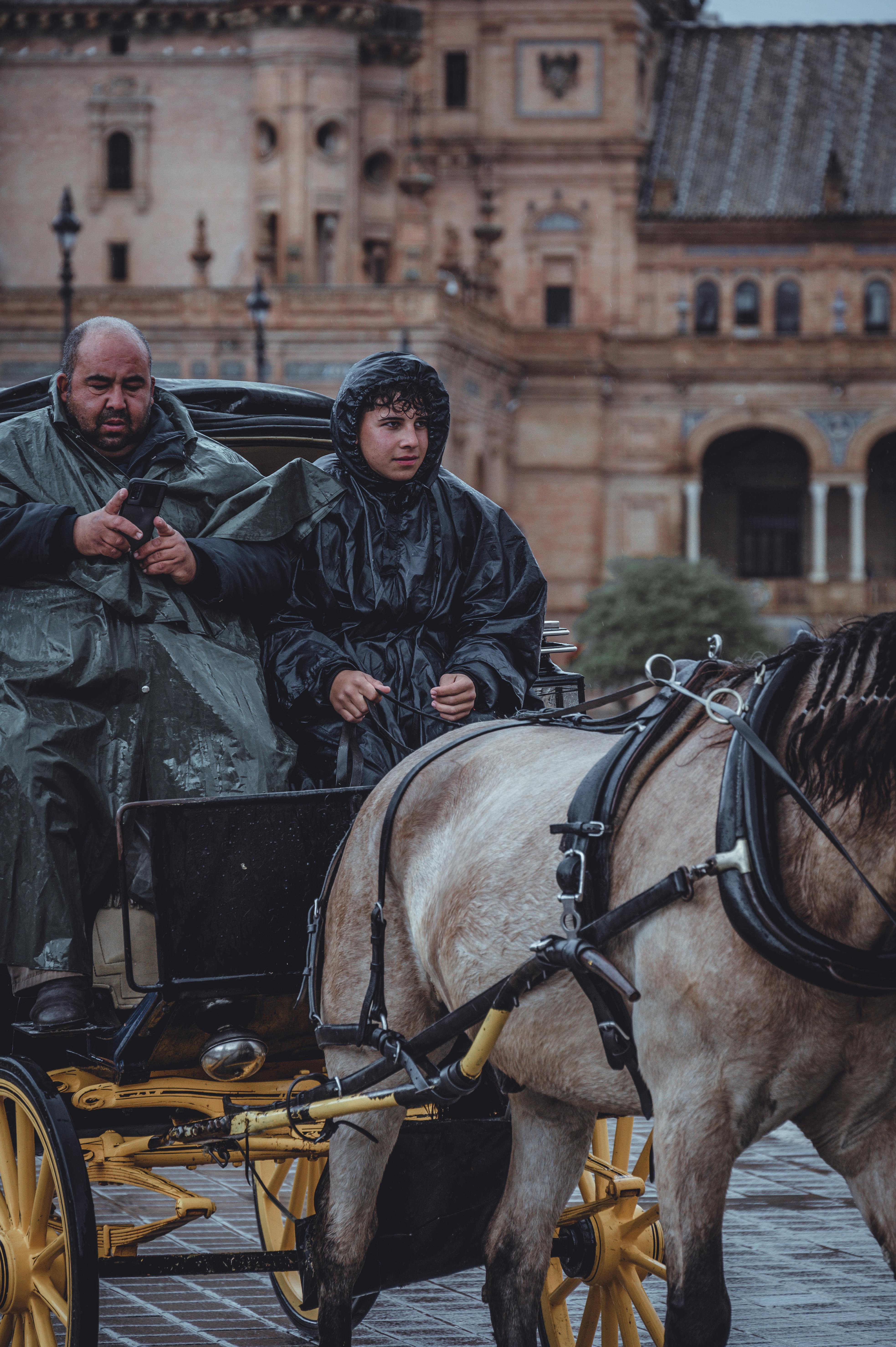 man and boy in raincoats on horse cart