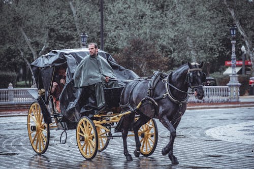 Men in and on a Carriage Pulled by a Horse