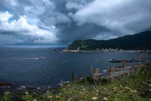 Free stock photo of cloudy skies, sea creature, sea water