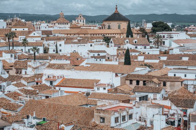 Aerial shot of Córdoba's traditional white rooftops and Mezquita, showcasing historic architecture.